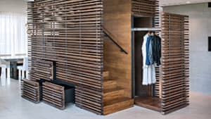 אודי אביצור